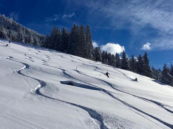 Holiday Flat Daniela, Hippach Im Zillertal 外观 照片